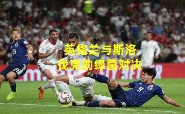 英格兰与斯洛伐克的绿茵对决