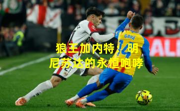 狼王加内特：明尼苏达的永恒咆哮