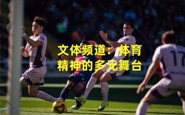 文体频道：体育精神的多元舞台