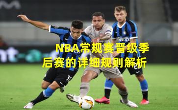NBA常规赛晋级季后赛的详细规则解析